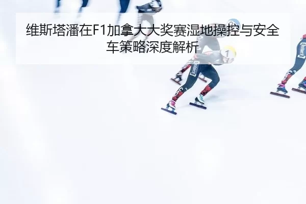 wei-si-ta-pan-zai-jia-na-da-da-jiang-sai-shi-di-cao-kong-yu-an-quan-che-ce-lve-shen-du-jie-xi-2-996.jpg